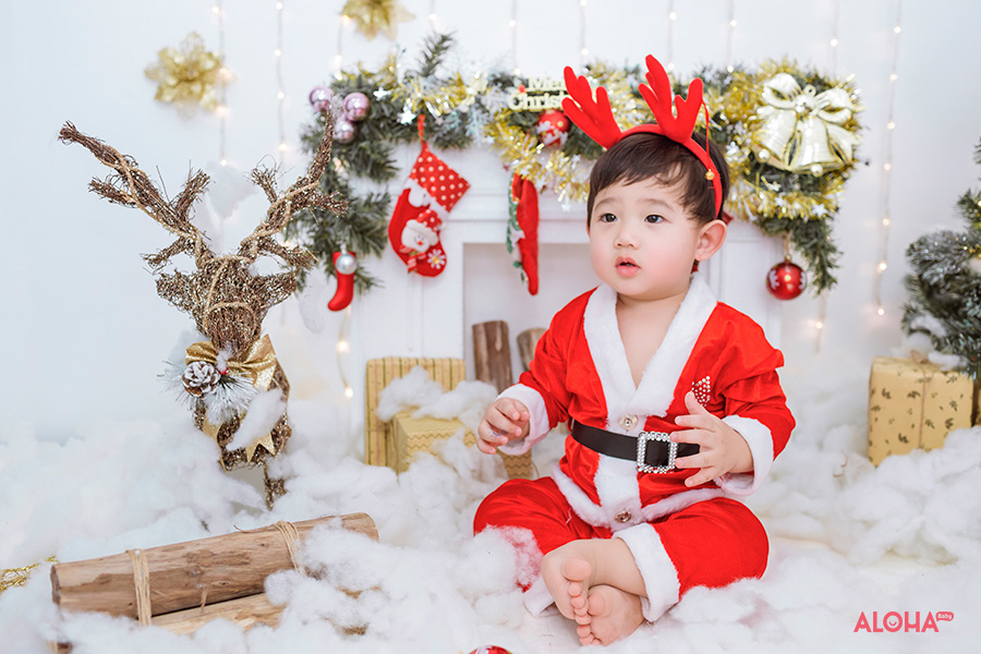 album ảnh giáng sinh đẹp lung linh